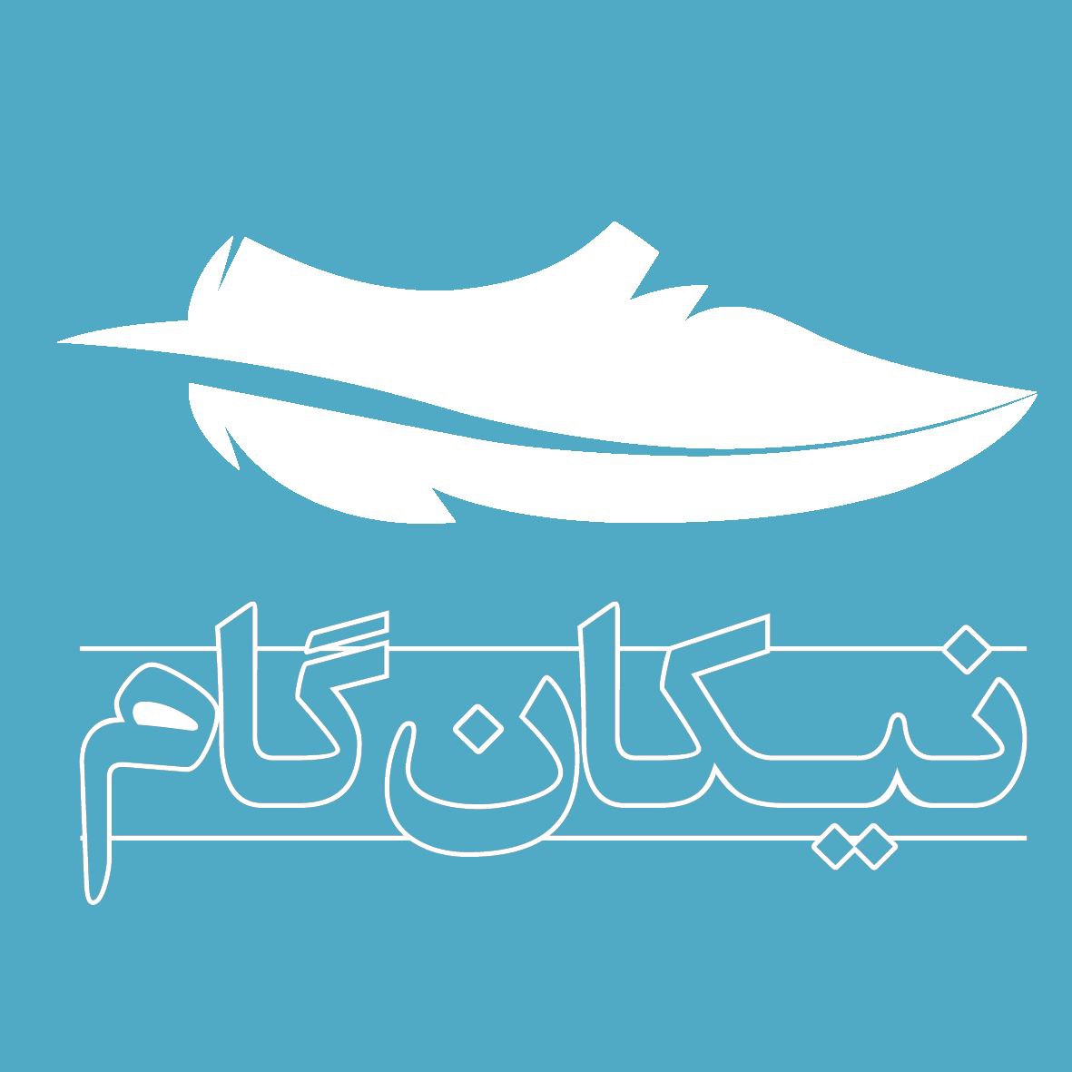 برند کفش پیام